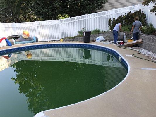 Here is my shitty green pool they caused.