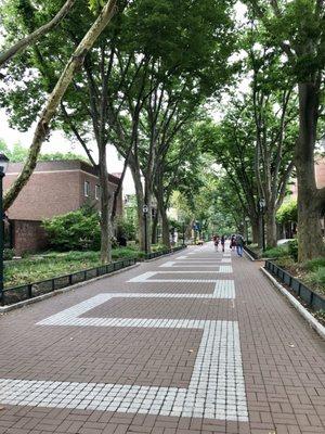 Locust Walk