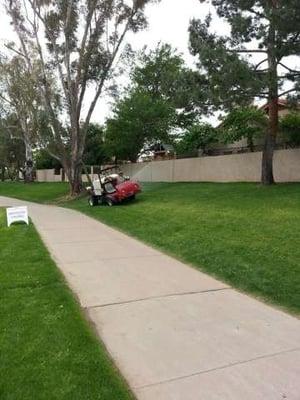 Tree and Turf Spraying