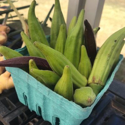 Potomac Village Farmer's Market