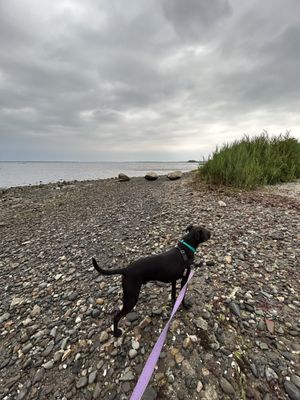 Longmeadow Fishing Area