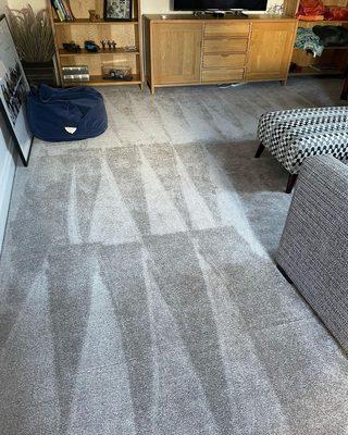 Carpet cleaning lines