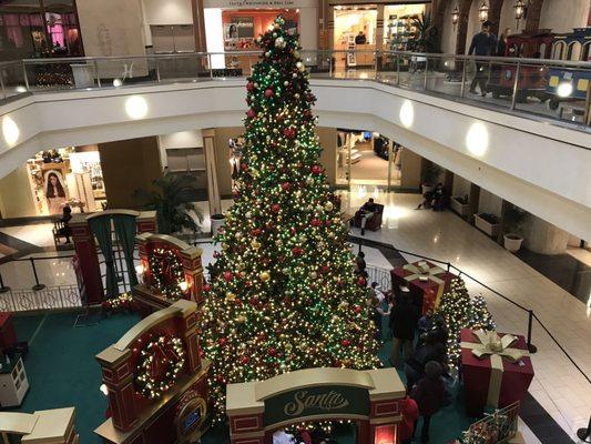 Christmas tree and waiting for Santa