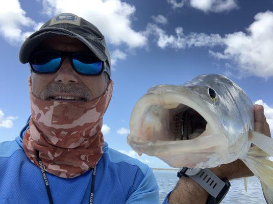 Lots of snook around