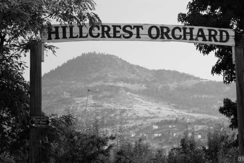 Hillcrest Orchard