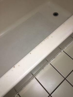 Moldy bathtub