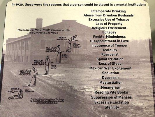 22 reasons to be committed to a mental institution. There are 13 & 1/2 reasons to commit me. How about you? Amazing history.