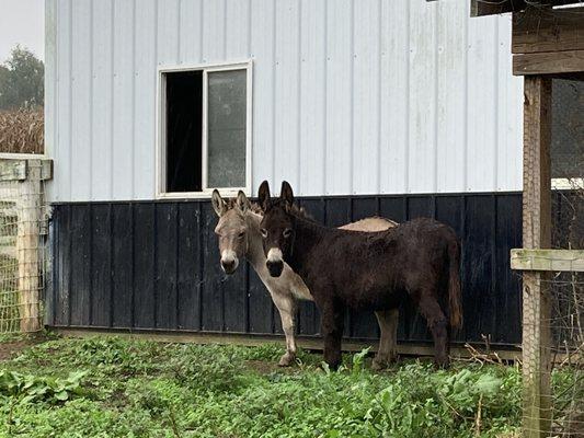 Landworks Farms LLC