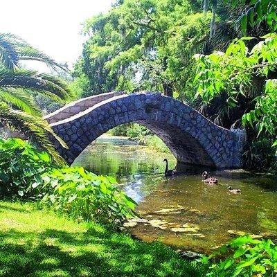 Bridge at city park