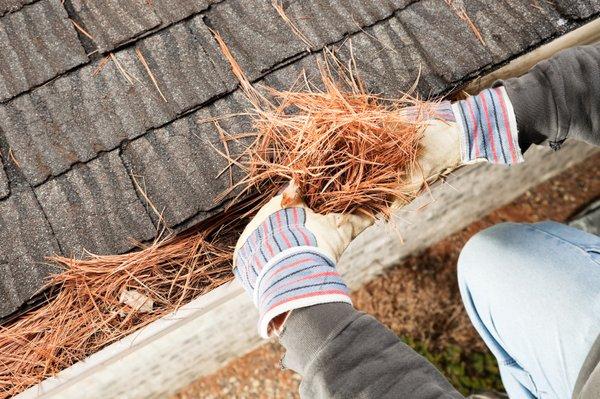 Gutter Cleaning