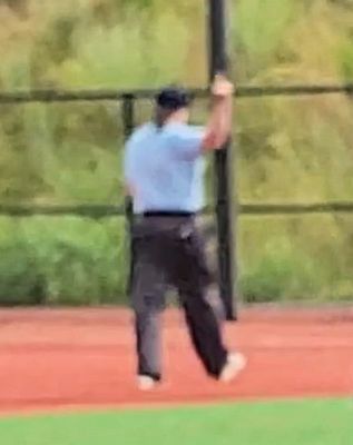 Ump flipping the bird to parents (and children)