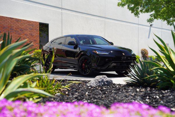 Urus full front PPF