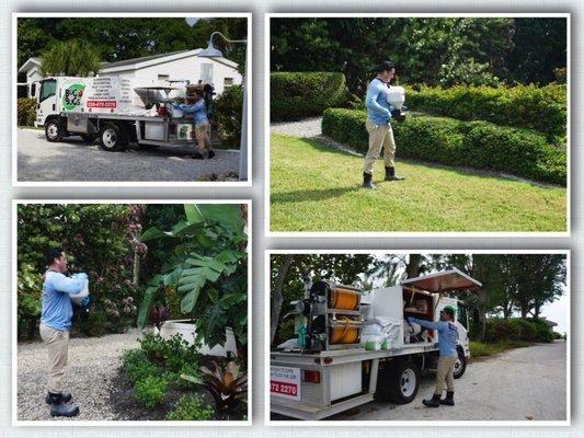 We can keep your lawn healthy and pest free. Call or email us for a free inspection. 239-472-2270 or bugthebugsllc@gmail.com