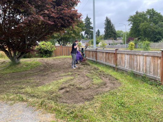 from grass to mulch and rock