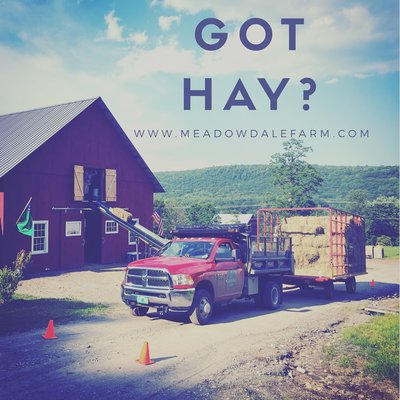 Round, Square, and Mulch Hay available.