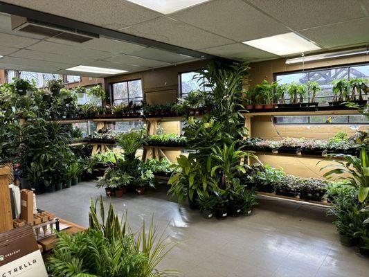 Portland Nursery