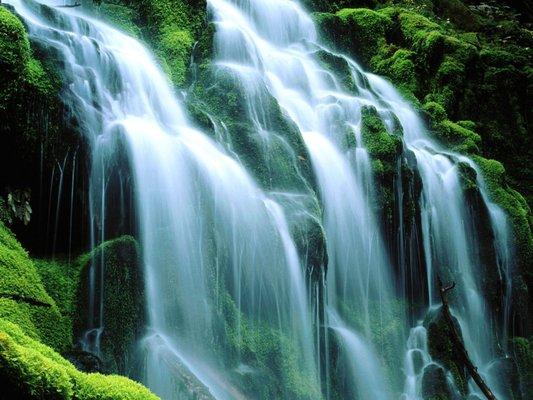 Refreshing your spirit with living water. wellspringcta.com