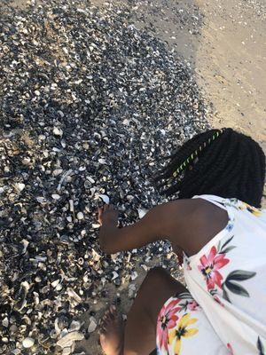 A jackpot for this seashell collector 06/17/18