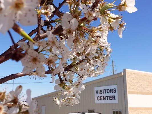 Yazoo County visitors center