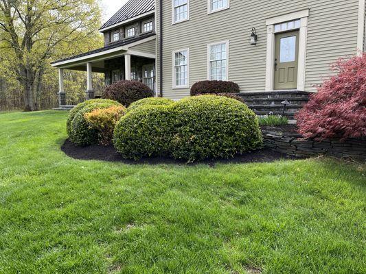 Tano Ridge Lawn Care