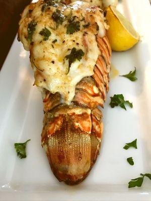 Lobster Tail