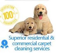 Jimy's Carpet Cleaning Lewisville