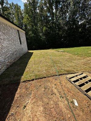 Sod Installation