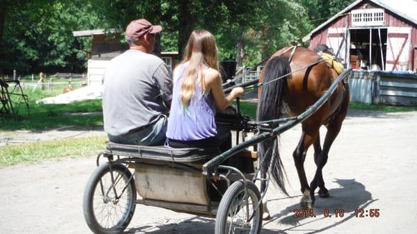 Masconette Farm, E. Longmeadow, MA facilitates horse boarding with trail riding and carriage driving opportunities for boarders.