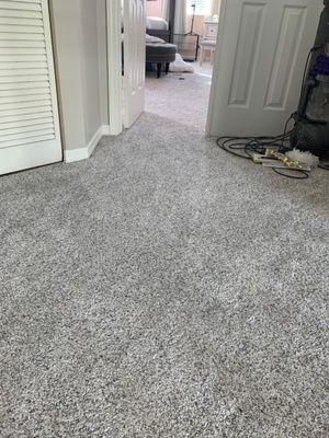 Brand new carpet and padding!