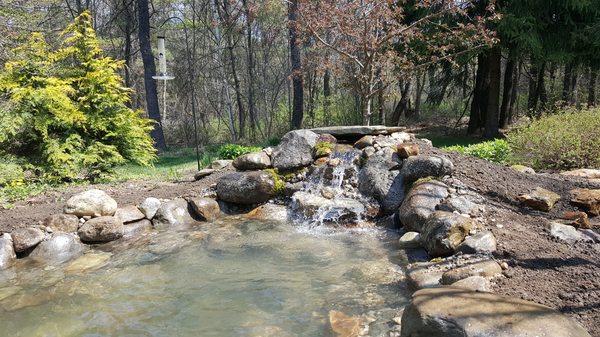 Custom waterfall and fish pond