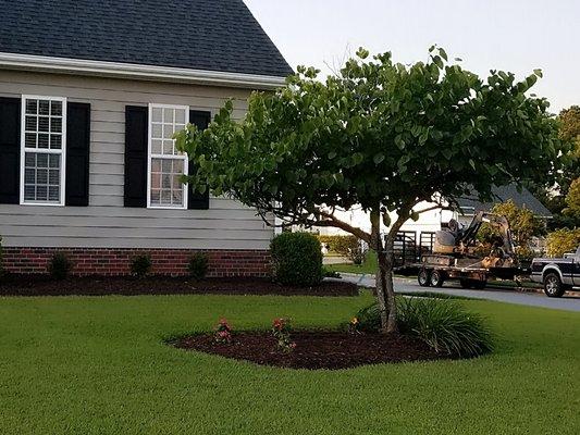 Creative landscaping enhances the aesthetic appeal of your home or business.