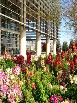 Kolligian Library - University of California, Merced