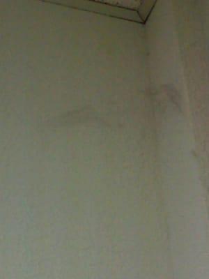 Gross cobb webs all on the corners of the wall.. Smdh!!