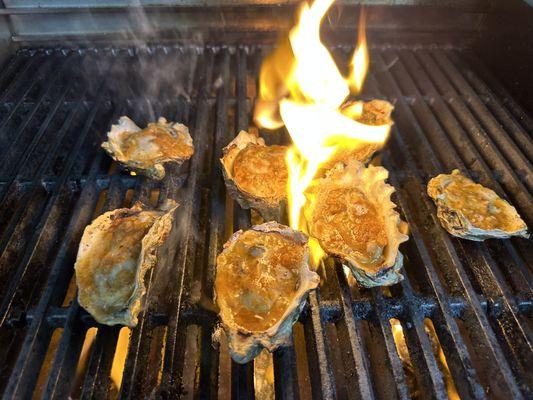 Grilled oysters