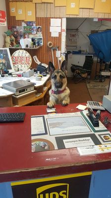 "Hi, can I help you?"