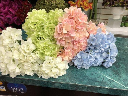 Hydrangea bush x7