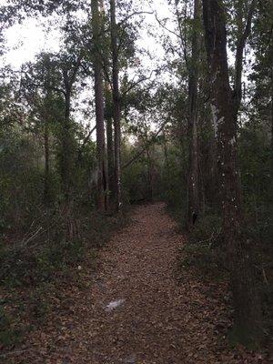 Walking trail