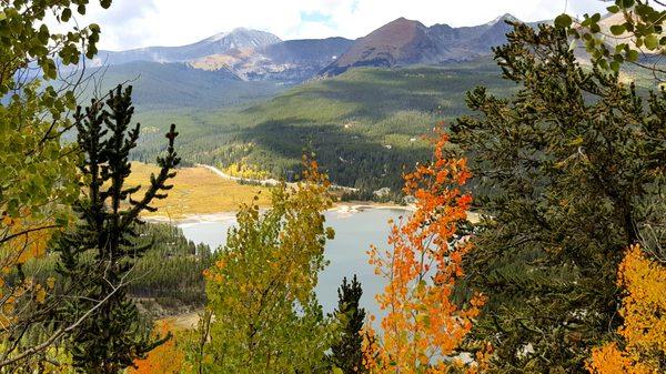 Fall leaves near Breckenridge, CO