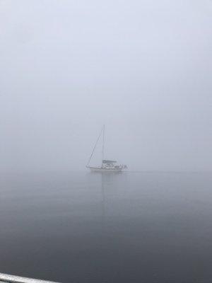 Fog Nav on the Cape Fear River