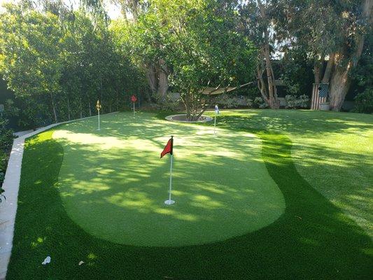 Putting green in John's Island backyard