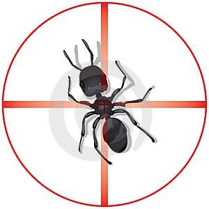 Pest Control Jackson MS