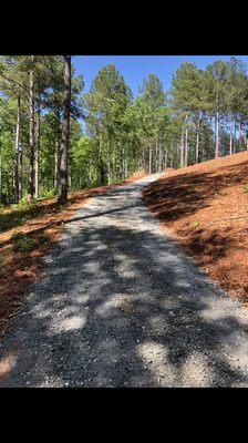 Cart Path