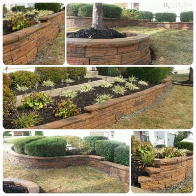 Flower bed Retaining wall. Bush trimming and mulch.