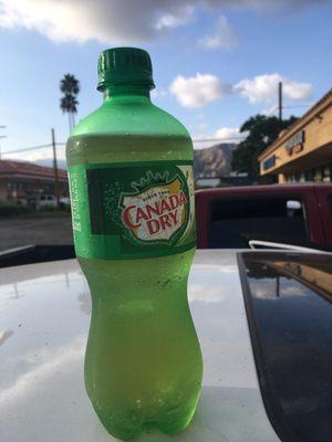 Canada Dry Ginger Ale; $2.49