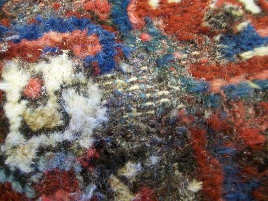 GOT Moths? We help fix moth damaged rugs...and Prevent another infestation from happening!
 regalfabriccare.com