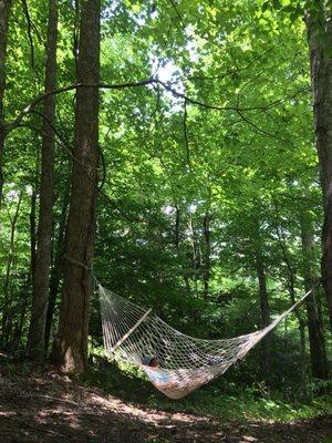 Gorgeous view of the green and lush canopy from the hammock. My son adored the relaxing sway and the sounds of twittering birds.