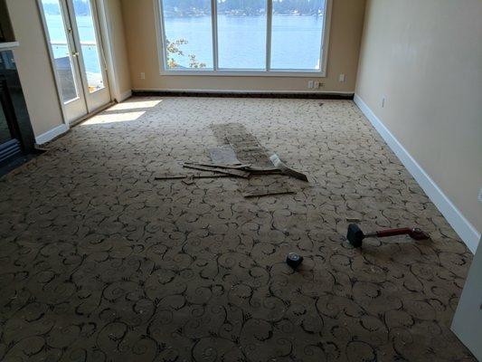 Carpet installation