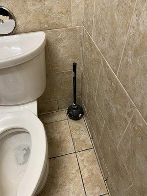 Black grout. The plunger says more then I want to know about what happened in this stall. I definitely went home and showered.