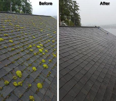 roof cleaning