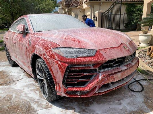 Lamborghini Urus foam cannon wash